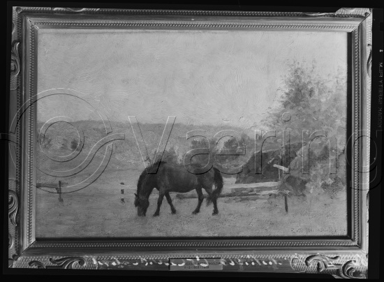 Glassplate og negativ film