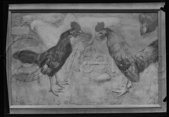 Glassplate og negativ film