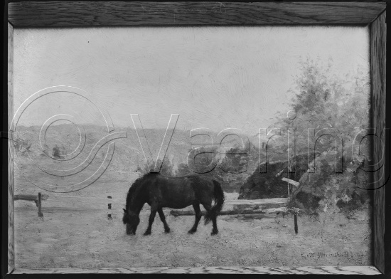 Glassplate og negativ film