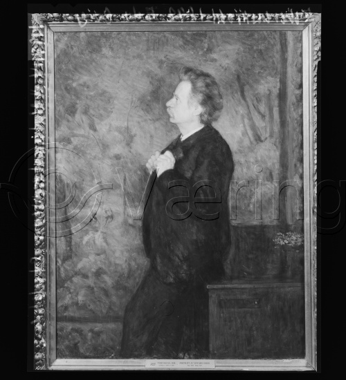 Glassplater og negativ film / I fotoeske med Div portretter Edvard Grieg