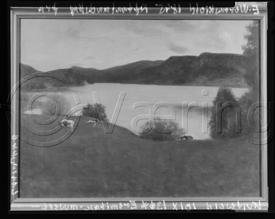 Glassplate og negativ film