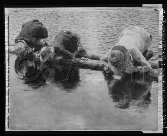 Glassplate og negativ film