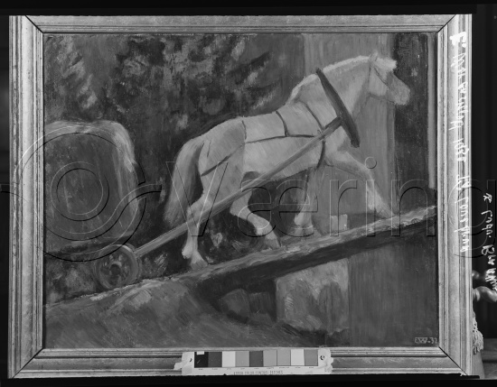 Glassplate og negativ film