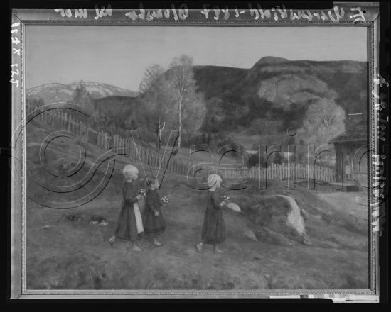 Glassplate og negativ film