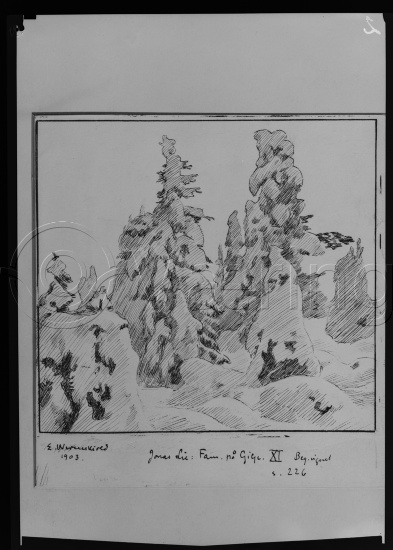 Familien paa Gilje, et Interieur fra Firtiaarene er en roman av den norske forfatteren Jonas Lie, utgitt i 1883. Romanen skildrer en familie på en embetsmannsgård i Valdres, og hovedvekten ligger på de trange rammene for liv, lykke og utvikling som bys familiens døtre.