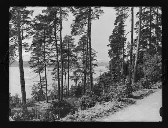 I fotoeske med tittel Erik Werenskiold - Private hjem. 

Glassplater