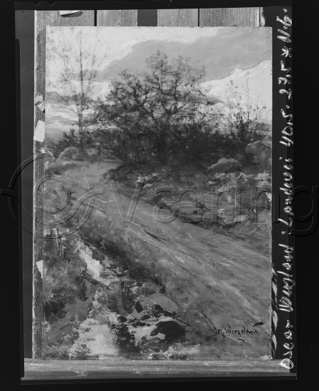 Glassplater og negativ film