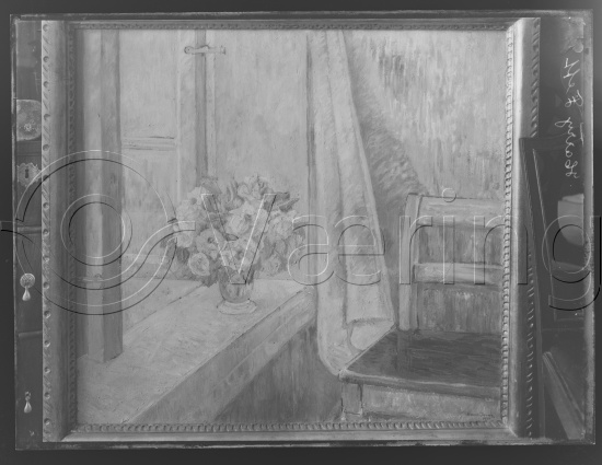 Glassplate og negativ film