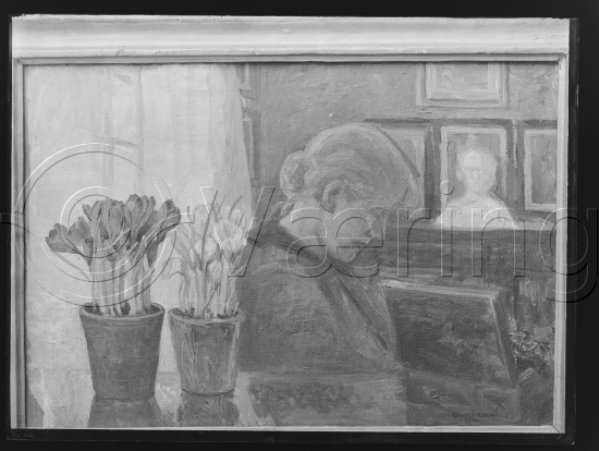 Glassplate og negativ film