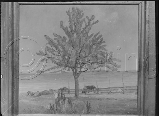 Glassplate og negativ film
