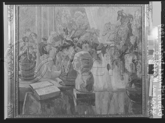 Glassplate og negativ film