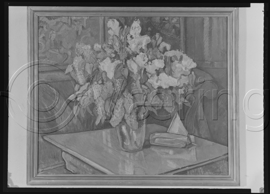 Glassplate og negativ film