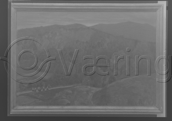 Glassplate og negativ film