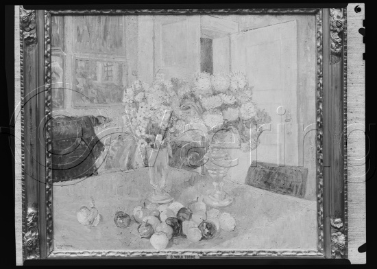 Glassplate og negativ film