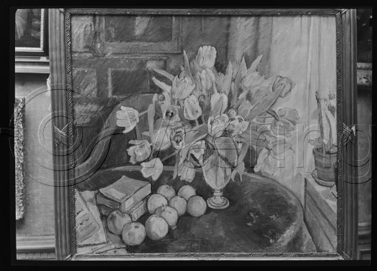 Glassplate og negativ film