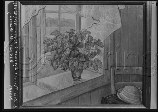 Glassplate og negativ film