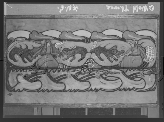 Glassplate og negativ film