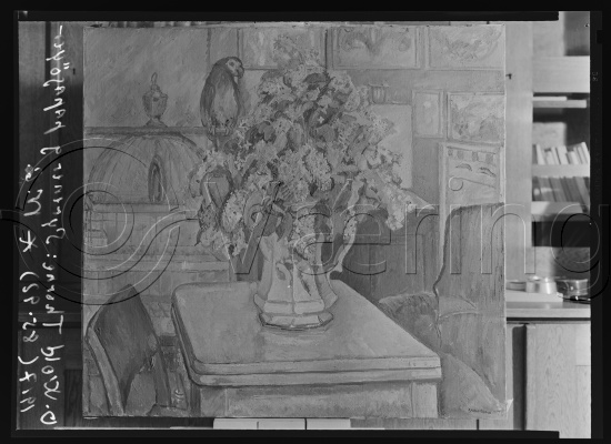 Glassplate og negativ film