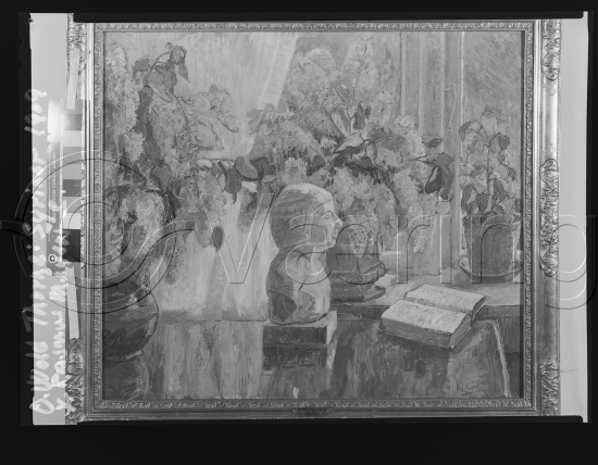 Glassplate og negativ film