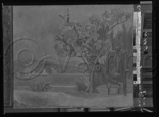 Glassplate og negativ film