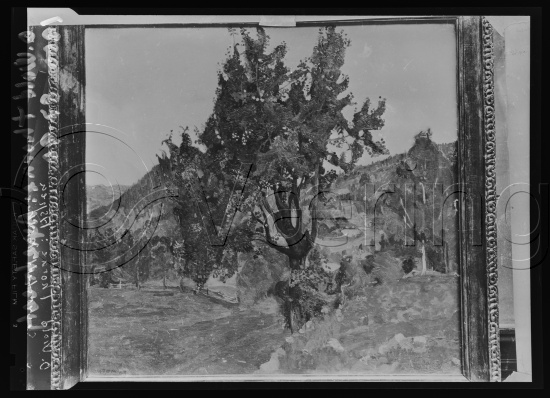 Glassplate og negativ film