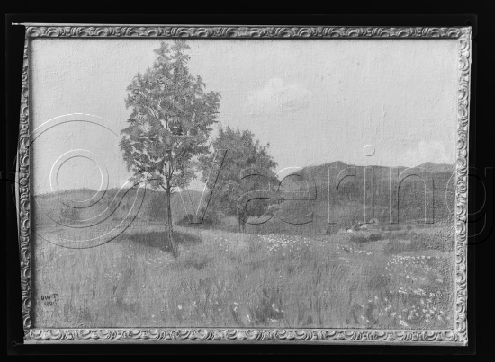 Glassplate og negativ film