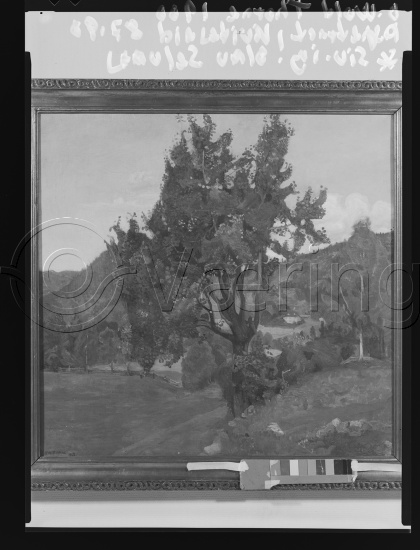 Glassplate og negativ film