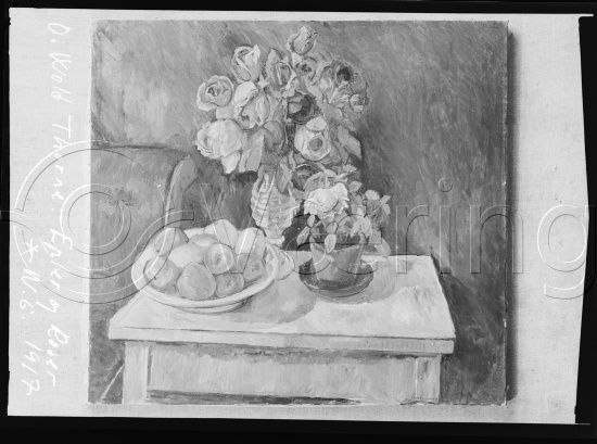 Glassplate og negativ film