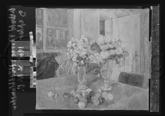 Glassplate og negativ film