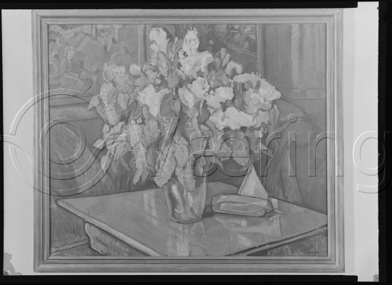 Glassplate og negativ film