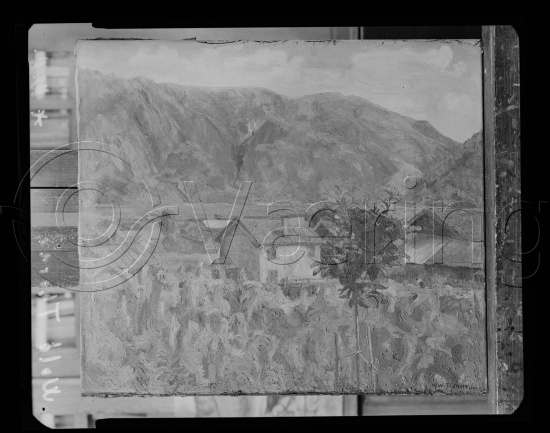 Glassplate og negativ film