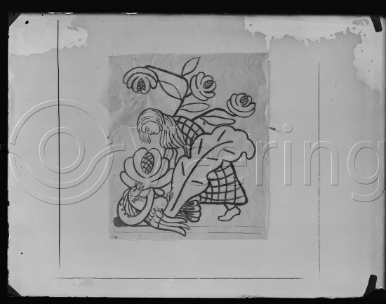Glassplate og negativ film