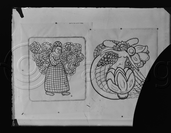 Glassplate og negativ film