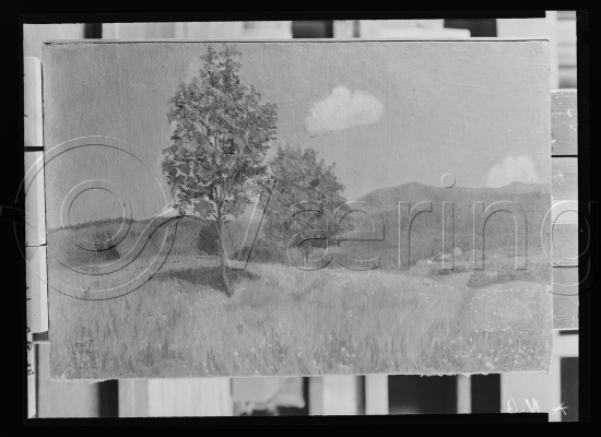 Glassplate og negativ film