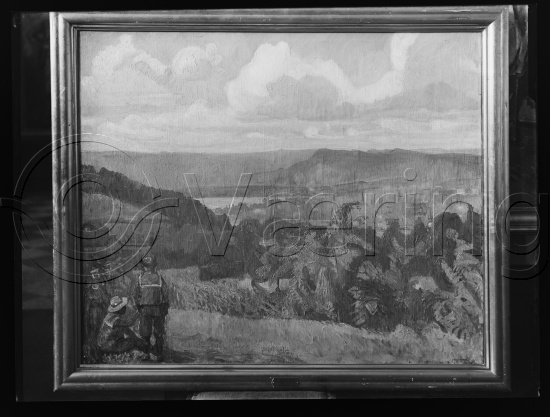 Glassplate og negativ bladfilm