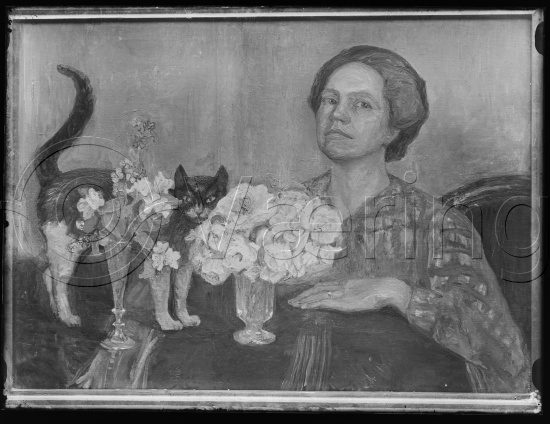 Glassplate og negativ bladfilm