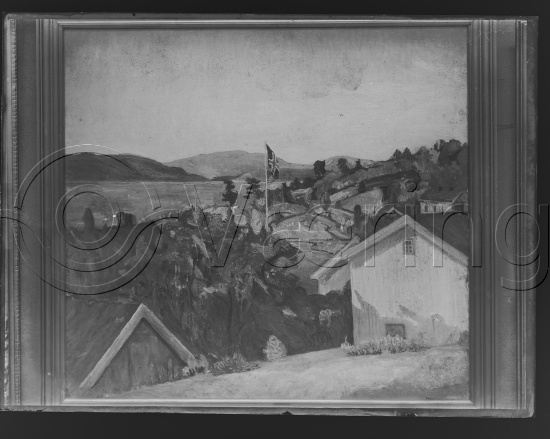 Glassplate og negativ bladfilm