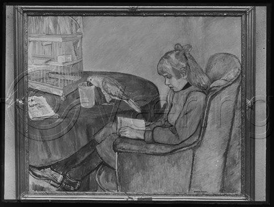 Glassplate og negativ bladfilm