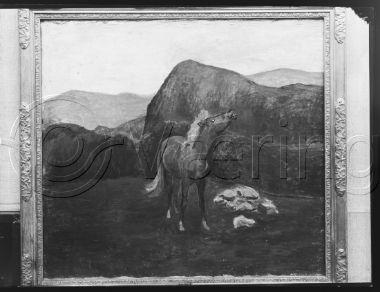 Glassplate og negativ bladfilm