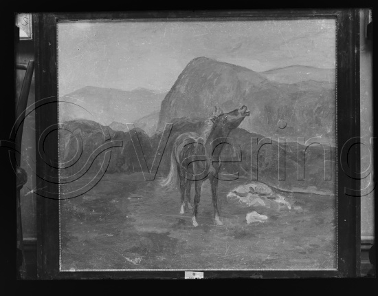 Glassplate og negativ bladfilm