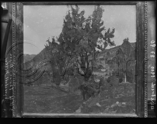 Glassplate og negativ bladfilm