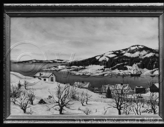 Glassplate og negativ bladfilm