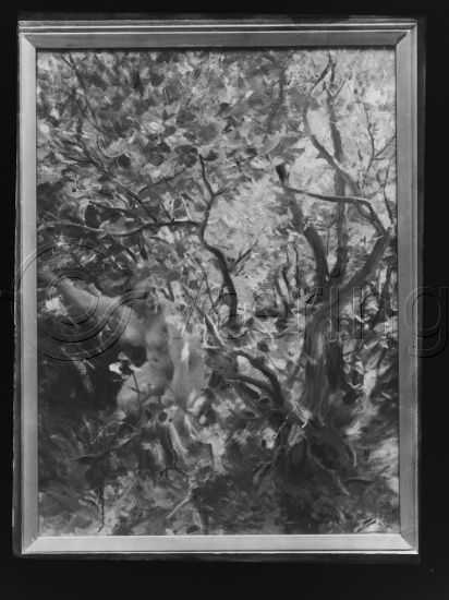 Glassplate og negativ film