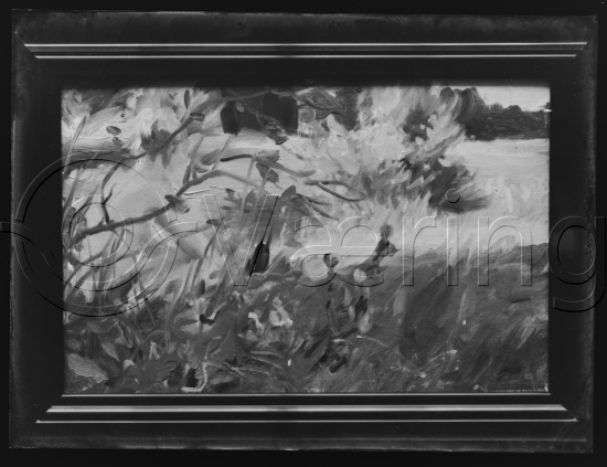 Glassplate og negativ film