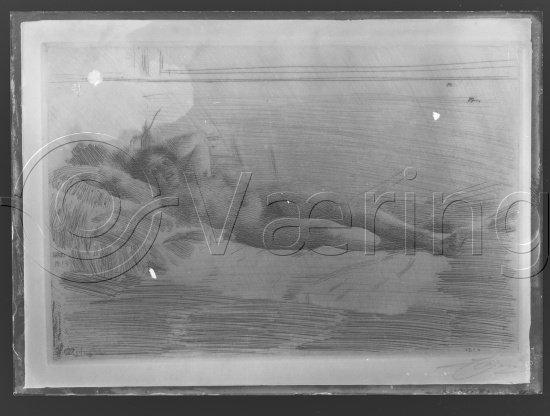 Glassplate og negativ film