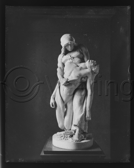 Glassplater og negativ film / I fotoeske med teksten diverse skulpturer / 18/24 glassplater