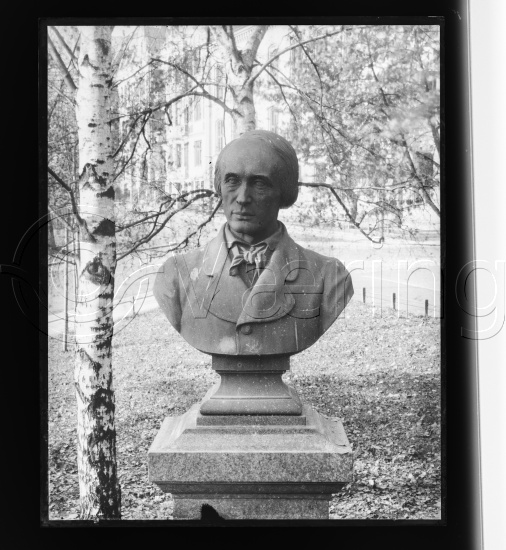 Glassplater og negativ film / I fotoeske med teksten diverse skulpturer / 18/24 glassplater