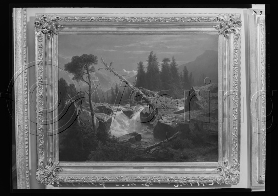 I fotoeske med tittel M. Reuch