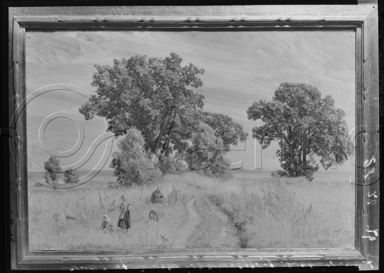 I fotoeske med tittel M. Reuch