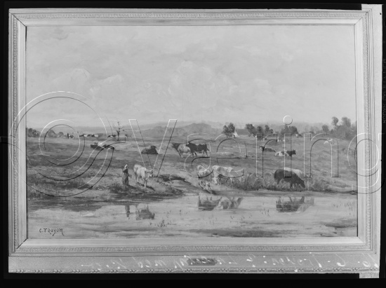 I fotoeske med tittel M. Reuch